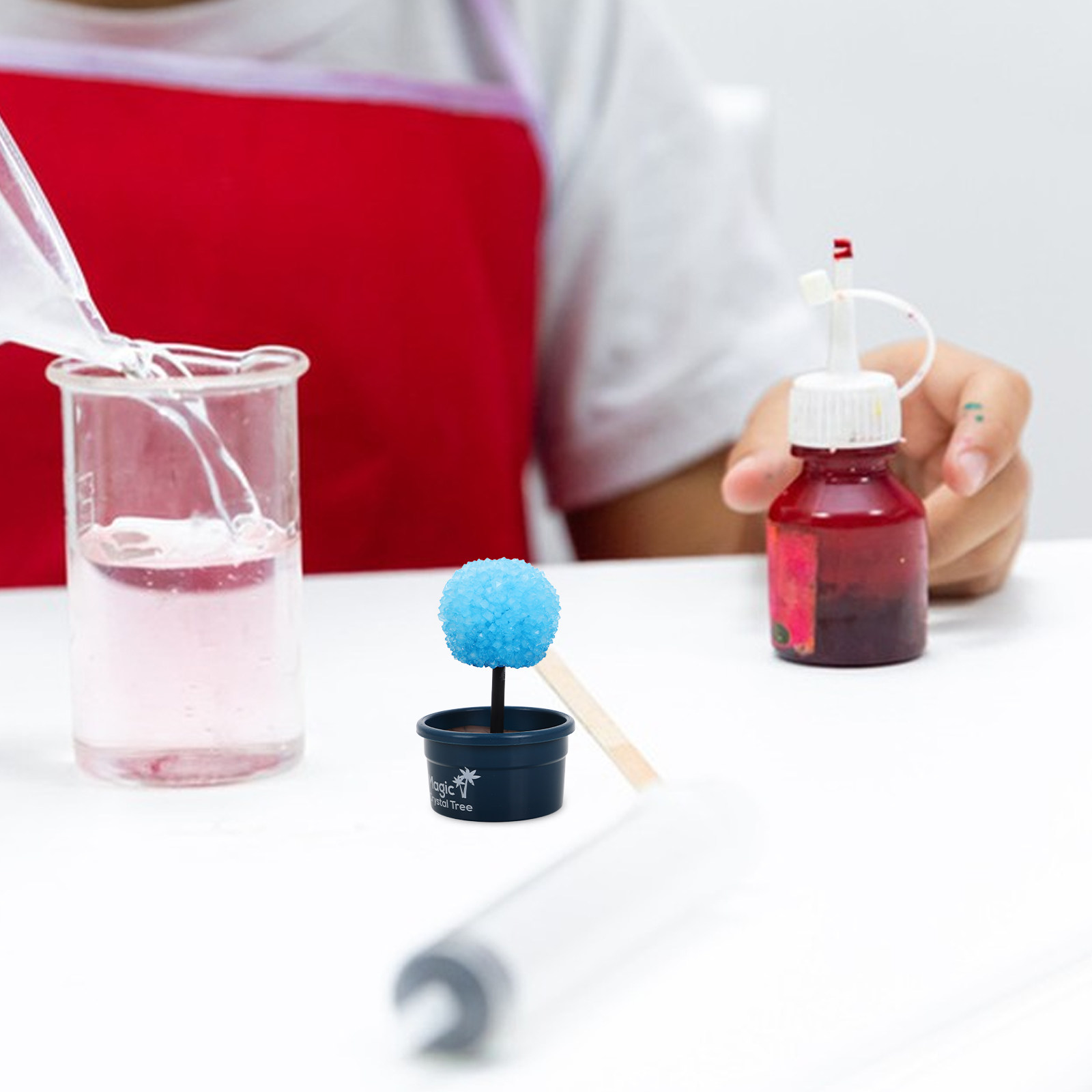 1Set Crystal DIY Science Kit F - Science Project Kit recension och pris