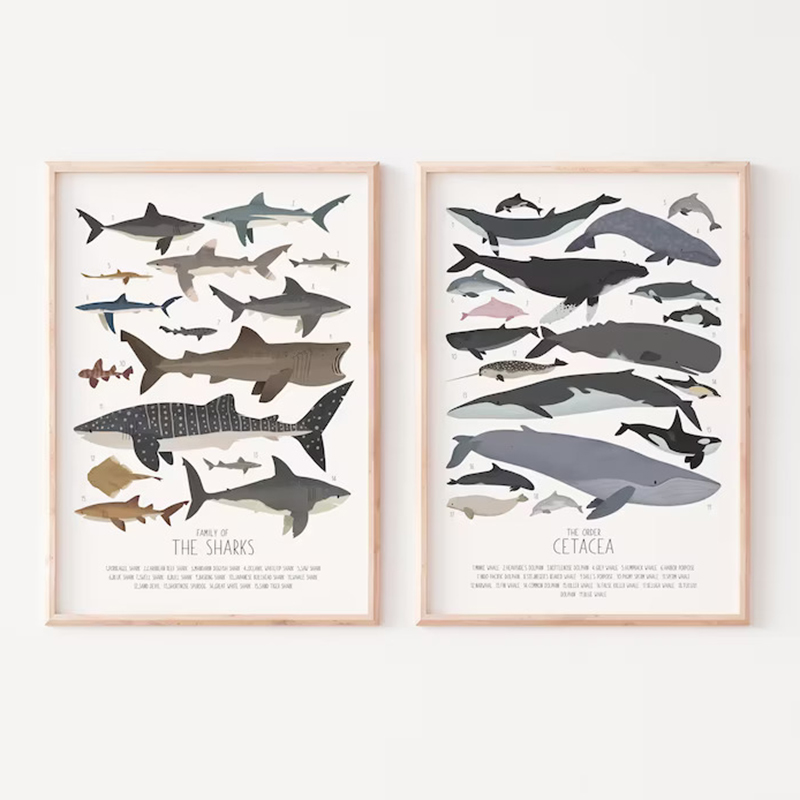 Deep-Sea Fish and Sharks Scien - Science Nursery recension och pris