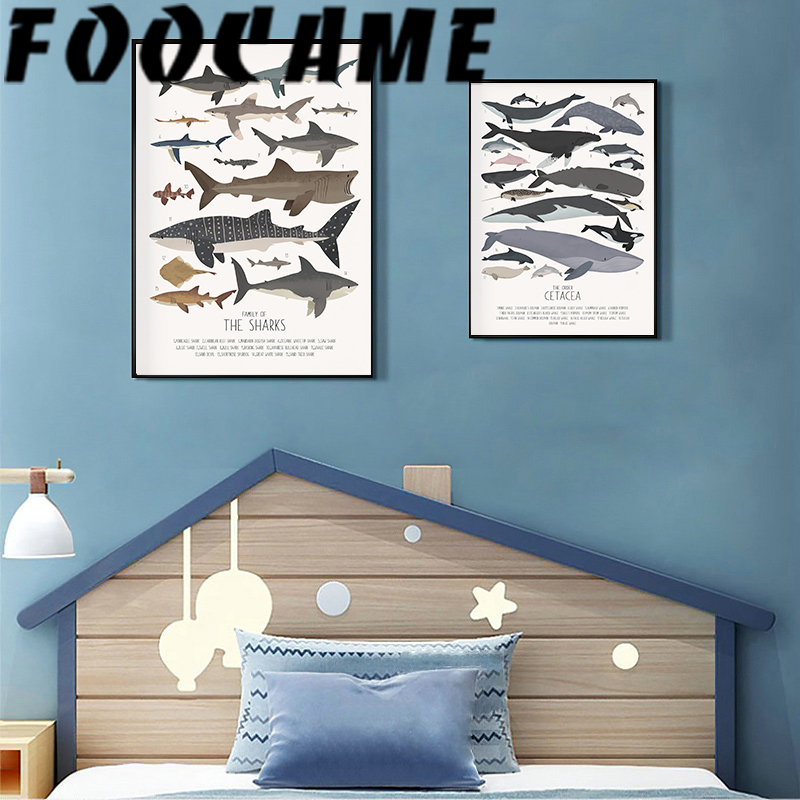 Deep-Sea Fish and Sharks Scien - Science Nursery recension och pris