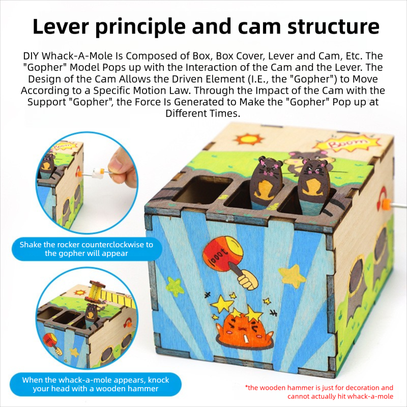 DIY Mouse Game Science and Tec - Science And Invention recension och pris
